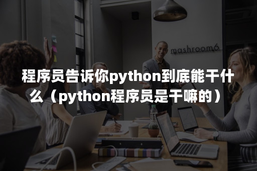 程序员告诉你python到底能干什么（python程序员是干嘛的）-Apispace接口管理
