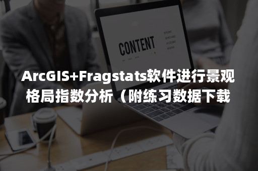 ArcGIS+Fragstats软件进行景观格局指数分析（附练习数据下载）-Apispace接口管理