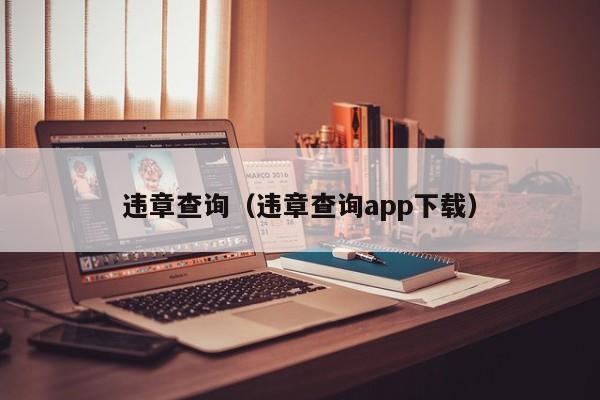 违章查询（违章查询app下载）