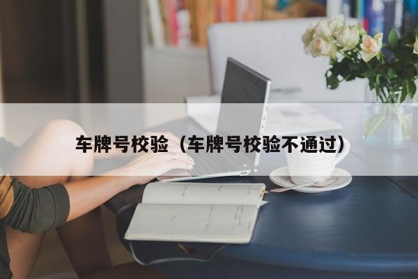 车牌号校验（车牌号校验不通过）