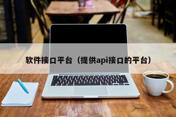 软件接口平台（提供api接口的平台）
